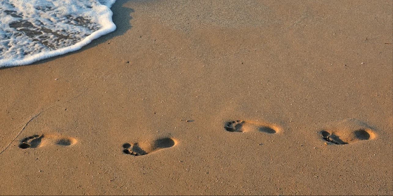 Todo segredo deixa rastros...